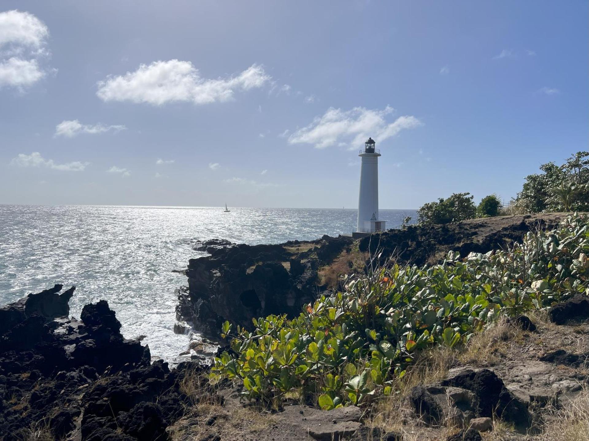 Domaine Racines E Zel - Gite Pomkajou Villa Vieux-Fort Esterno foto